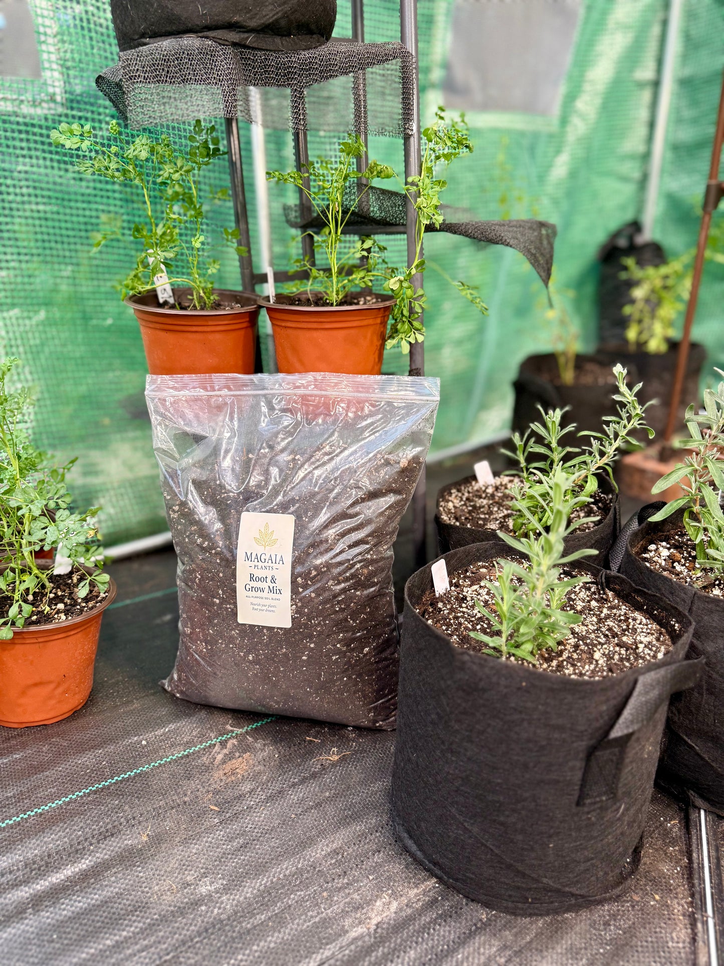 MaGaia Root & Grow Mix ā All-Purpose Soil Blend