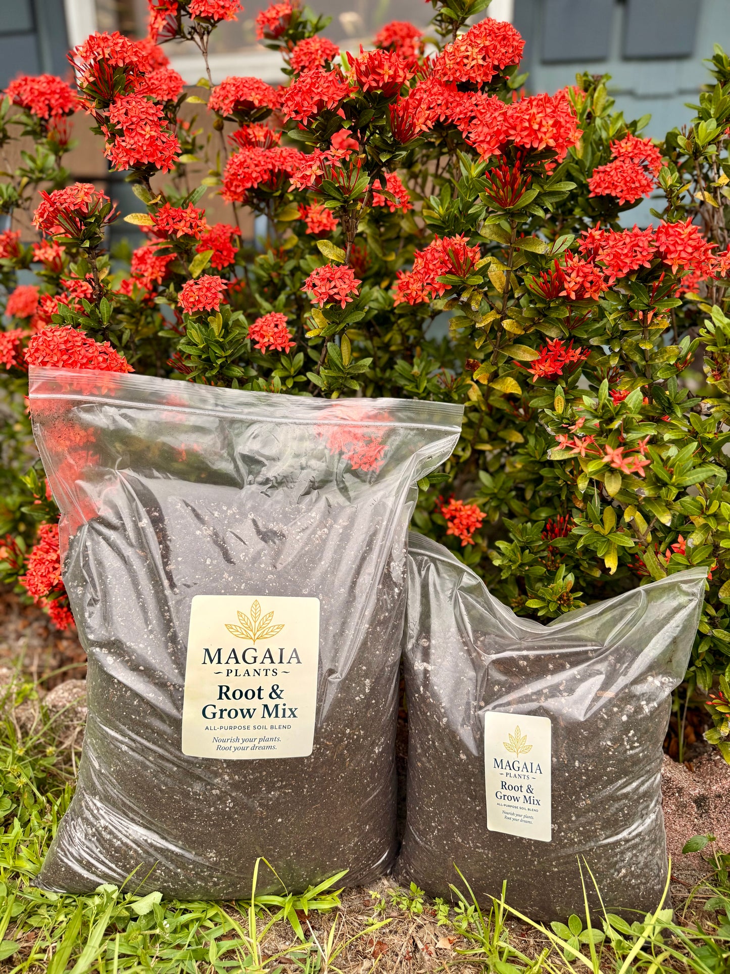 MaGaia Root & Grow Mix – All-Purpose Soil Blend