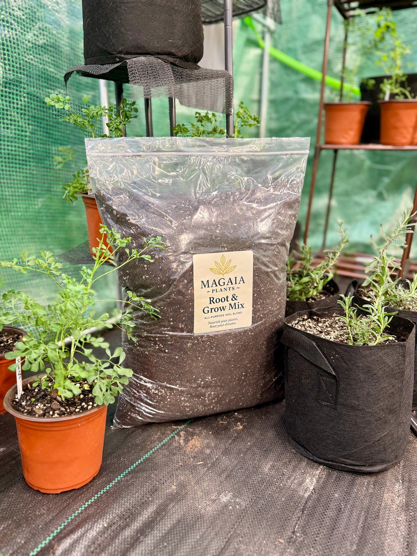 MaGaia Root & Grow Mix – All-Purpose Soil Blend